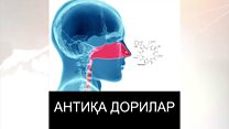 Антиқа дорилар