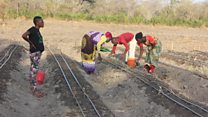 Vijana wanavyotumia ardhi kuimarisha kilimo Tanzania