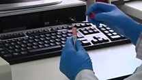 Lingohack: английский по новостям