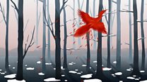 BBC NOW 2016-17 Season: Firebird