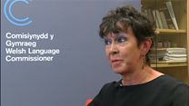 Her Comisiynydd y Gymraeg i'r Ysgrifennydd Addysg- Kirsty Williams