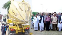لاہور میں درختوں کے تحفظ کی کوشش