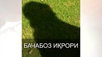 Бачабоз Дэвид иқрори