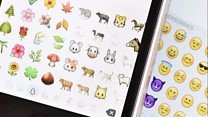 The evolution of emojis