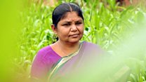 சட்டமன்ற குழுக்களை உடனடியாக அமைக்க திமுக கோருவது சரியே: பாலபாரதி கருத்து
