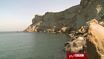 گوادر کا ساحل آبی حیات سے مالامال