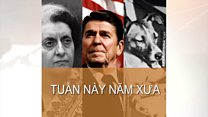 Tuần này năm xưa