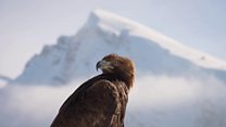 Planet Earth Two