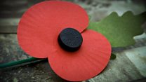 Remembrance day poppy tradition