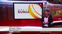 Matangazo ya Dira ya Dunia TV