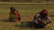 गुजरात का कैशलेस गांव