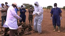 Tanzanie : la lutte contre le botulisme se poursuit