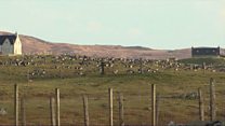 Croitearan Uibhist a Tuath a' gearain mu chathain