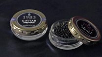 Japan's caviar set to give Russia a run