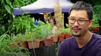 Urban farming takes root in Singapore