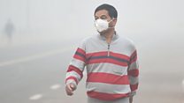 कोहरे-वायु प्रदूषण से कैसे बचें?