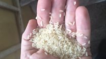 'This plastic rice feels realistic'