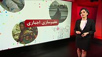 عقیم سازی زنان بی خانمان چقدر با قوانین حقوق بشری همخوان است