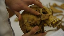 Searching for the dead in Cyprus