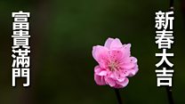 不同民族如何过自己的新年?