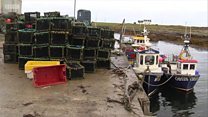 Leasachadh Cidhichean an Tiriodh