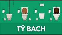 Ty Bach