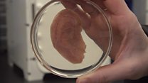 Fancy a new ear? Grow one with an apple