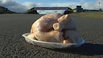How far does school dinner chicken travel?