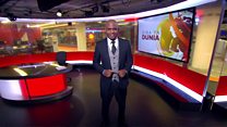 Matangazo ya Dira ya Dunia TV