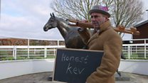 Maguire takes a gamble on political week