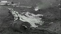 Sutton Wick air crash, 60 years on