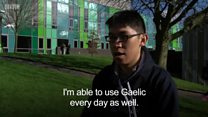 Extra long distance Gaelic learning