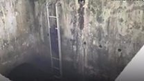 Singapore's ladder-climbing otters