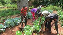 Je mfuko wa maendeleo ya vijana umekidhi malengo yake Tanzania