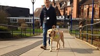 Guide dog 'saves' blind footballer