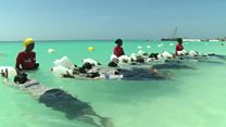 Zanzibar : objectif 0 noyade