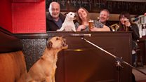 Meet Jake, the karaoke canine
