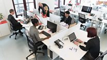 ما معنى عبارة Diversity و Workplace؟