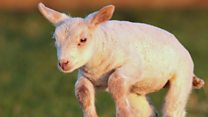 Your pictures from Northern Ireland