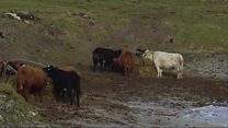 Siostam plannaidh nas fhasa ga iarraidh son taighean-croite