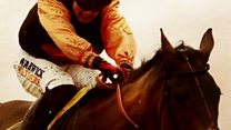 High hopes for pub syndicate's horse