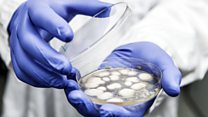 هل يمكن أن تدفعوا بضعة آلاف من الجنيهات لقاء قطعة من العفن mould؟