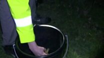 Henley Toad Patrol in action
