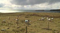 Bliadhna dhoirbh do Choimisean na Croitearachd
