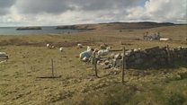 Ceistean mu Choimisean na Croitearachd
