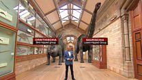 Dinosaurs may have a UK origin