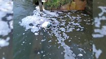 Thames Water fine 'won't increase bills'