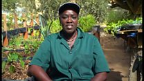 Le micro-jardinage à Dakar