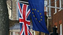 ‘We are negotiating just for Britain’