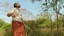 The man planting trees to save a river island